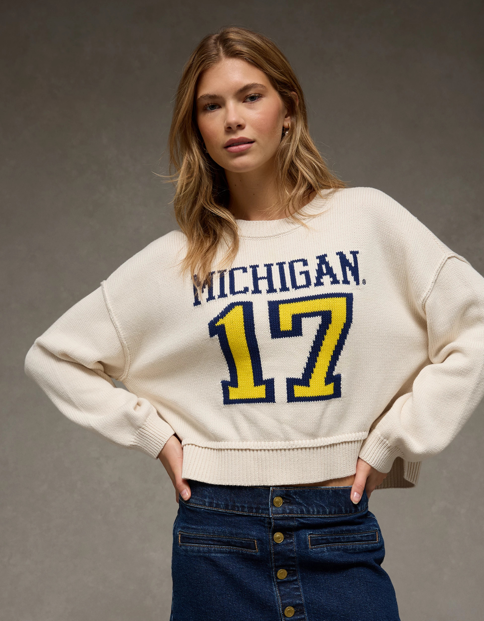 AE Michigan Wolverines Cropped Sweater | American Eagle Outfitters (US & CA)