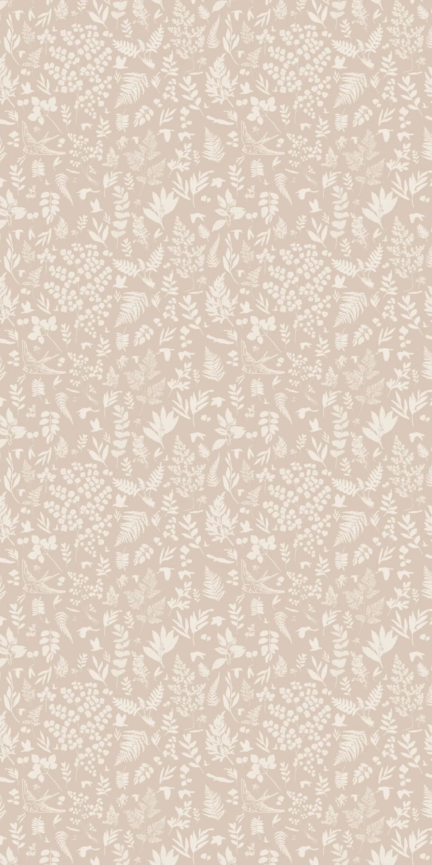 Fern | Chasing Paper