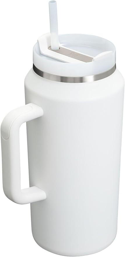 Stanley Quencher H2.0 FlowState Stainless Steel Vacuum Insulated Tumbler with Lid and Straw for W... | Amazon (US)
