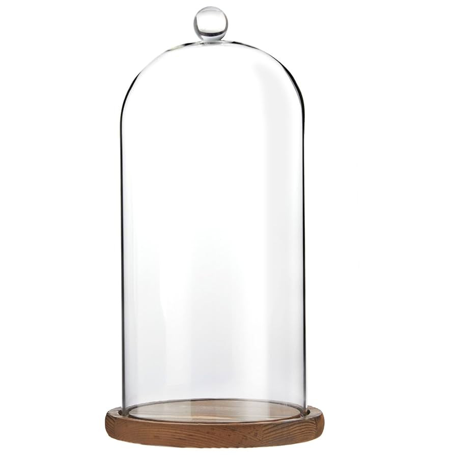 Farmlyn Creek Glass Cloche Dome Bell Jar Display Case with Wooden Base for Plants, Collectibles (... | Amazon (US)