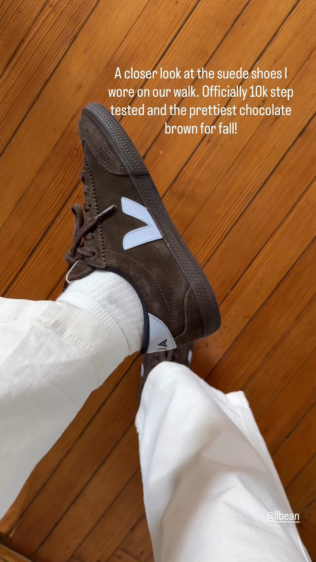 10k step tested dark brown suede sneakers for fall
Love how comfy my Vejas are wearing 37


#LTKSeasonal #LTKShoeCrush #LTKTravel