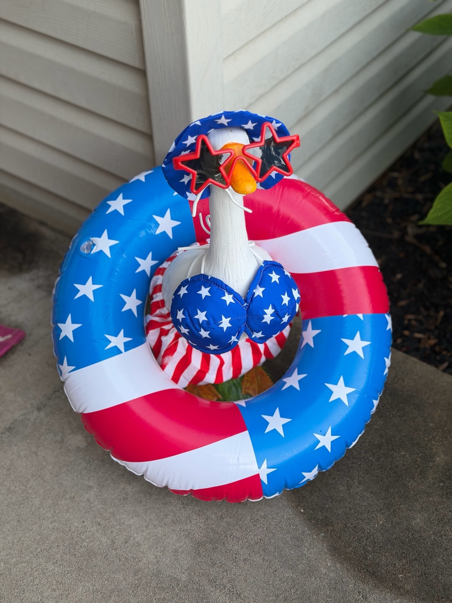Poppy’s first outfit. My porch goose is ready for the 4th of July!

#LTKSeasonal #LTKHome #LTKootd