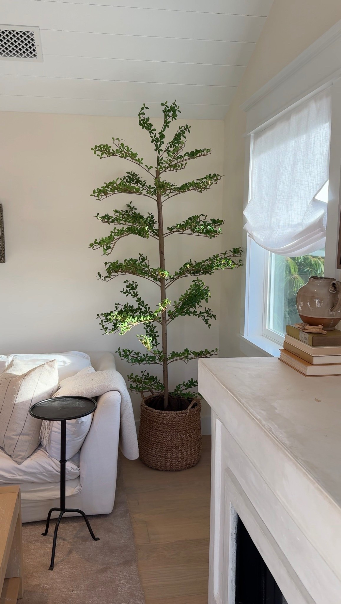 Faux olive tree !! 

#LTKHome #LTKSpringSale #LTKWedding