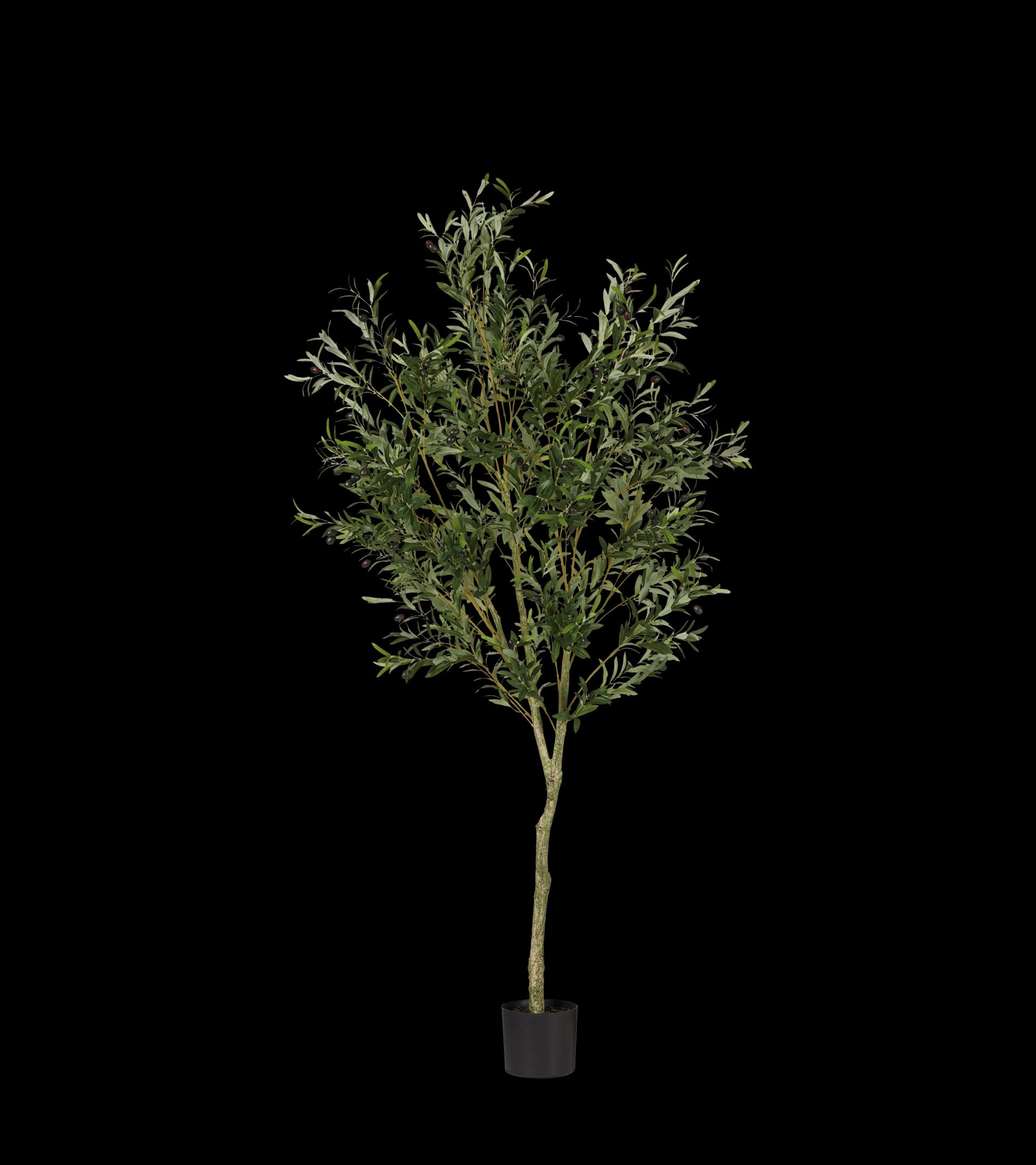 Faux Large Potted Olive Tree - Black | OKA US
