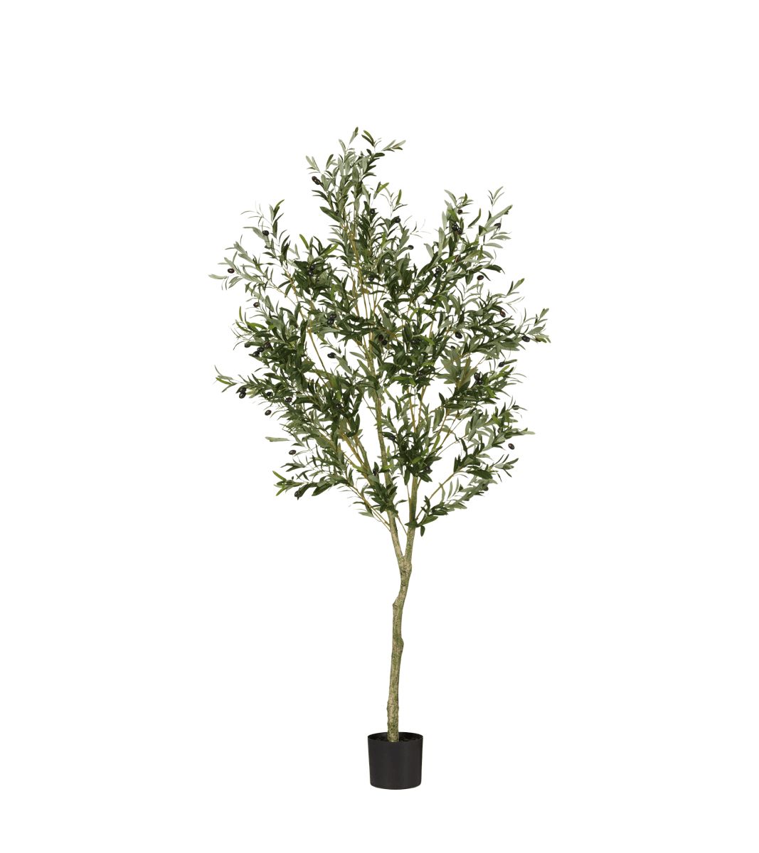 Faux Large Potted Olive Tree - Black | OKA US