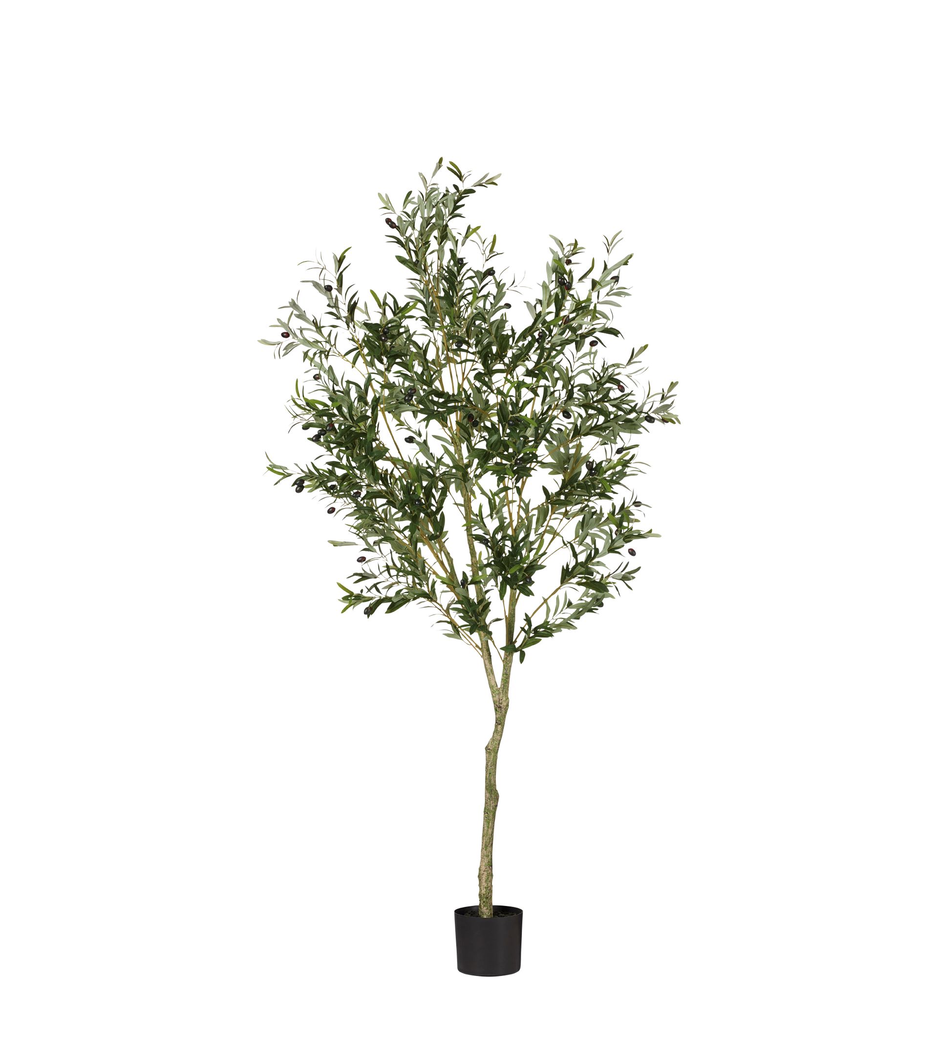 Faux Large Potted Olive Tree - Black | OKA UK