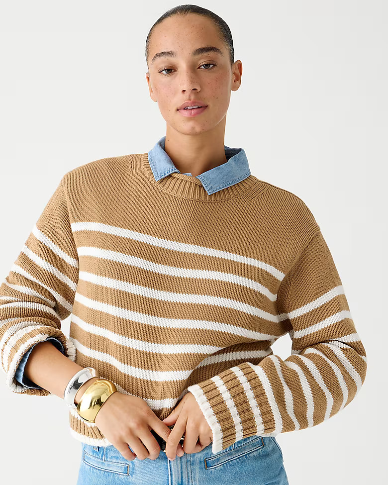 Rollneck™ sweater in stripe | J. Crew US
