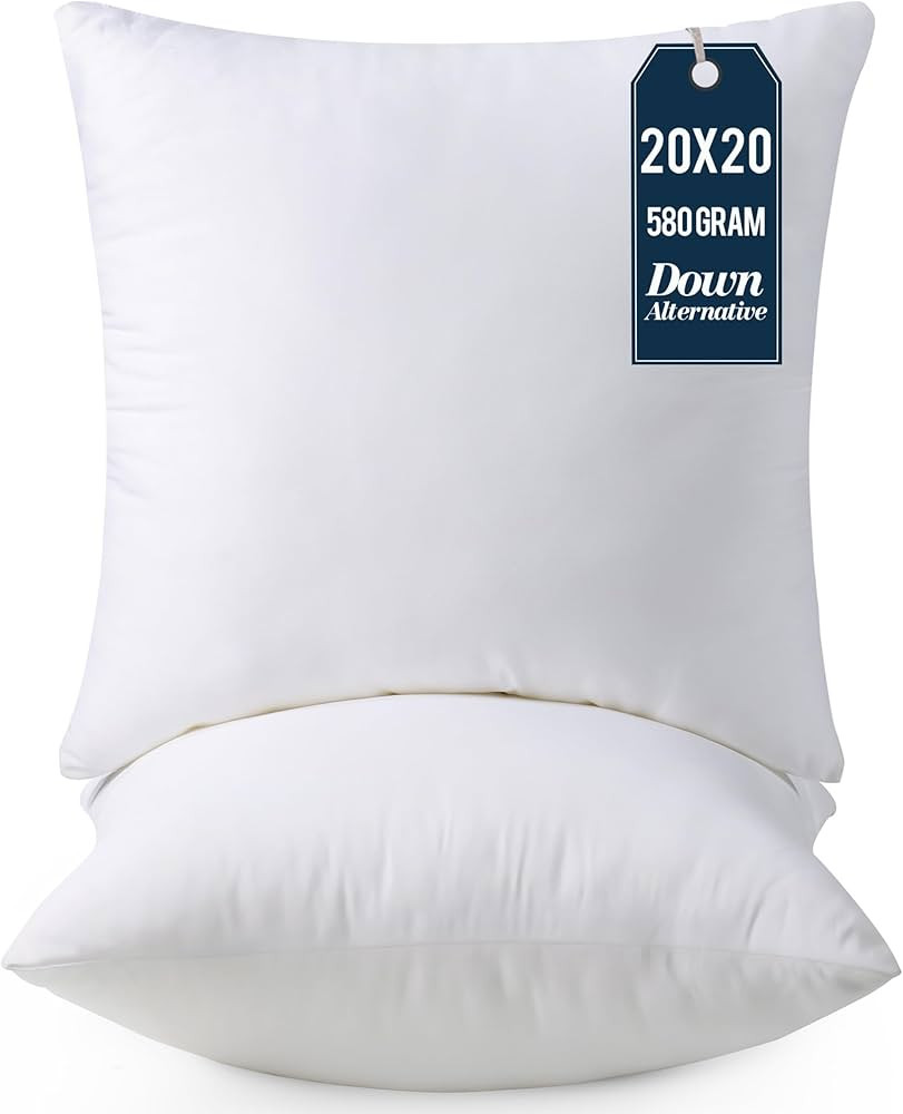 Utopia Bedding Throw Pillows Insert (Pack of 2, White) - 20 x 20 Inches Bed and Couch Pillows - I... | Amazon (US)