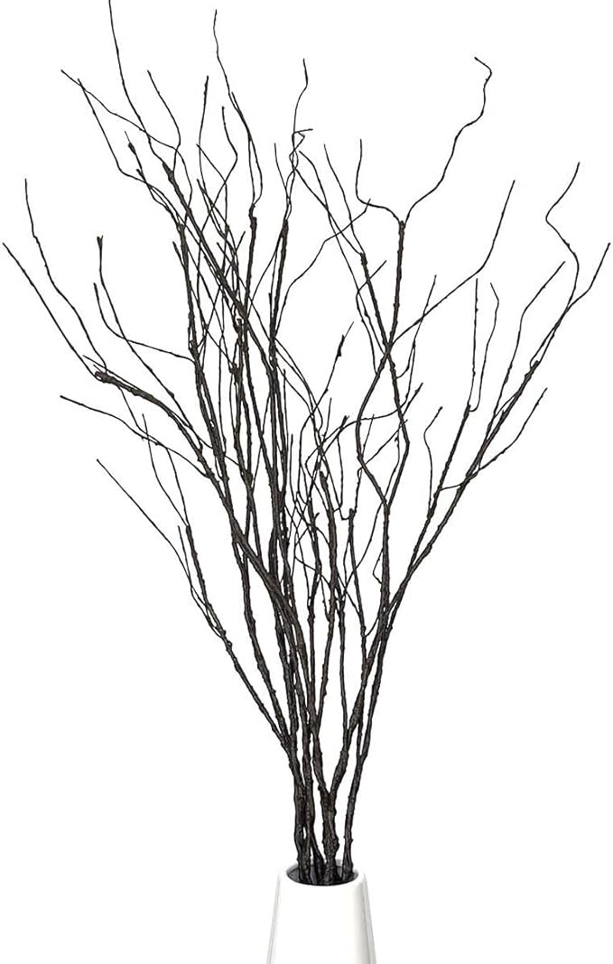 Pursuestar 5Pcs 29.5" Lifelike Dry Willow Branches Bendable Iron Wires Artificial Floral Flower S... | Amazon (US)