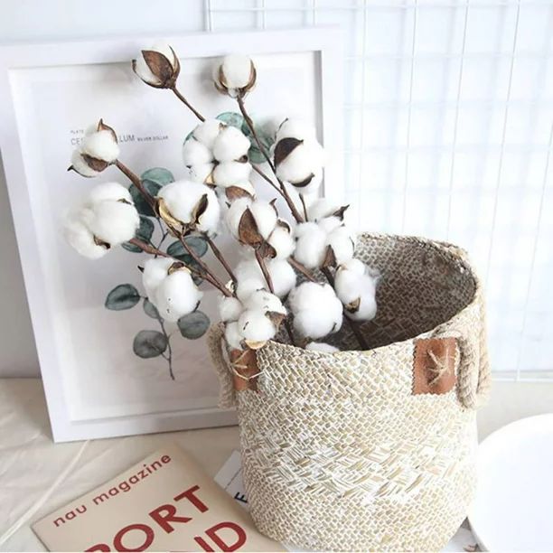 21-Inch Natural White Cotton Stem Flowers Cotton Boll Branches Farmhouse Rustic Style Vase Displa... | Walmart (US)