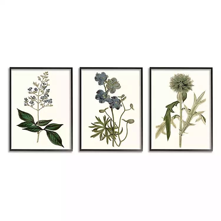 Vintage Blue Flowers Framed Art Prints, Set of 3 | Kirkland's Home