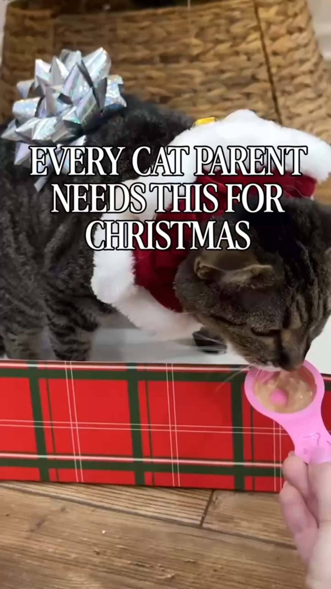 The Christmas gift every pet parent needs! The Litter Robot 5 has my house smelling fresh and my life 10x easier. Worth. Every. Penny. #petmusthave

#LTKGiftGuide #LTKHoliday