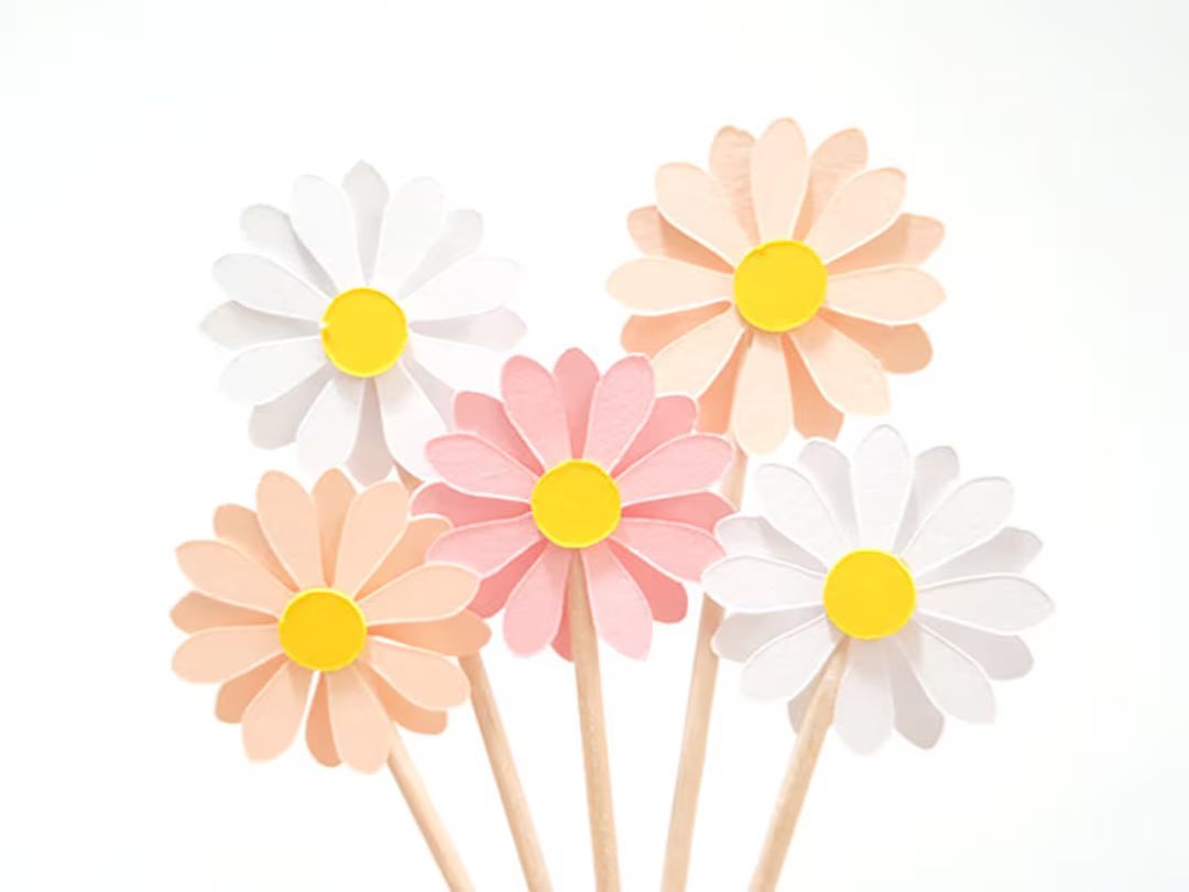 Set of 24pcs Daisy Cupcake Toppers Blush Peach White - Etsy | Etsy (US)