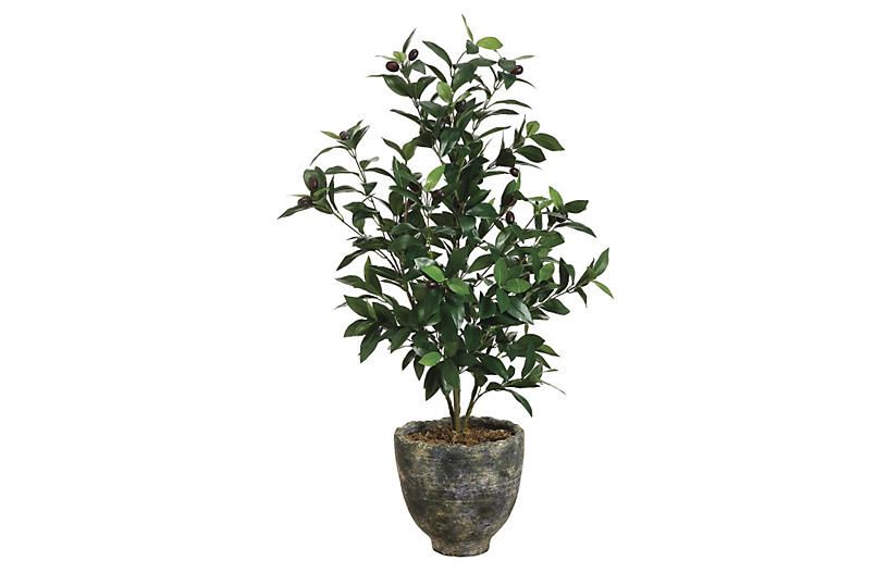 3' Olive Tree in Planter - Faux | One Kings Lane