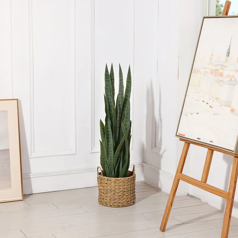 Adcock Faux Snake Plant in Pot | Wayfair North America