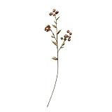 Amazon.com: Creative Co-Op Faux, Plum Color Berry Stem, Orange : Home & Kitchen | Amazon (US)