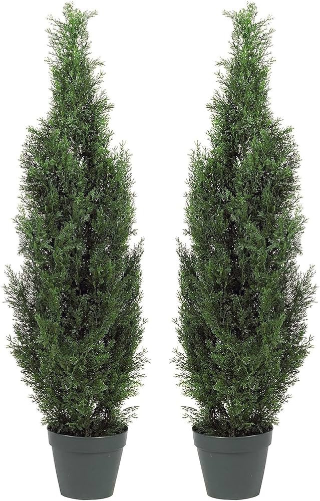 Two Pre-Potted 3' Artificial Cedar Topiary Outdoor Indoor Tree | Amazon (US)
