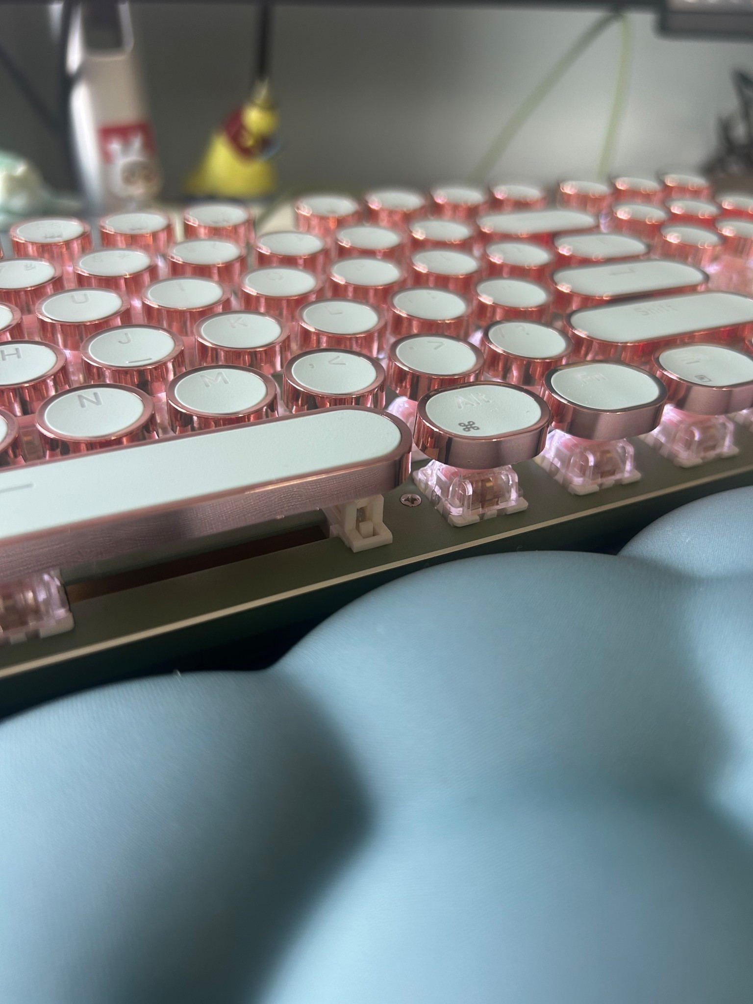 WFH/Office must haves