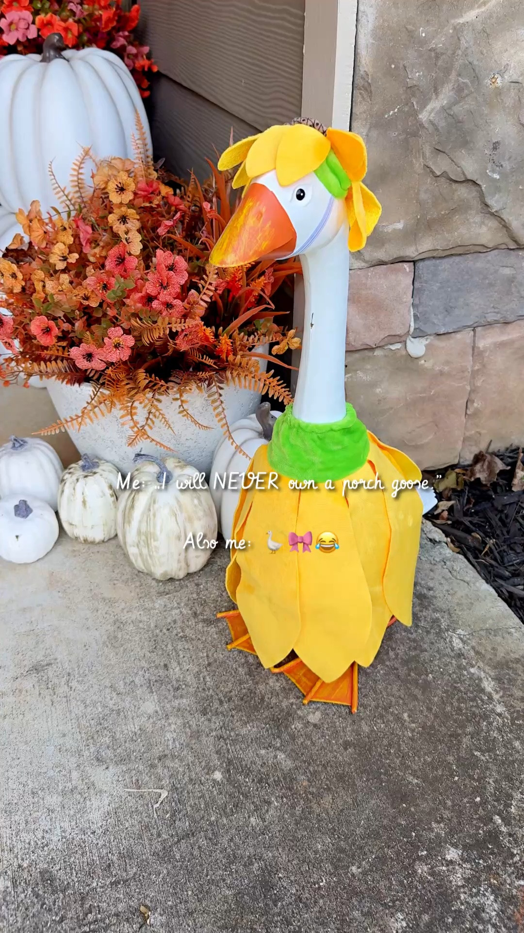 Okay, I owe the porch goose people an apology. 😂🪿

I SWORE I would never own one… and now I’m standing on my front porch dressing her up like this is completely normal.

But I get it now! A metal porch goose is such a fun addition to your front porch, and because you can change her outfit for different holidays and seasons, she can be part of your outdoor decor all year long.

Now we have ONE very important problem…

SHE NEEDS A NAME. 😂

What should we call her?! Drop your best names below because I want to see what y’all come up with. 👇🪿

#HomeDecor
#FallDecor
#HalloweenDecor
#PorchDecor
#OutdoorDecor
#AD