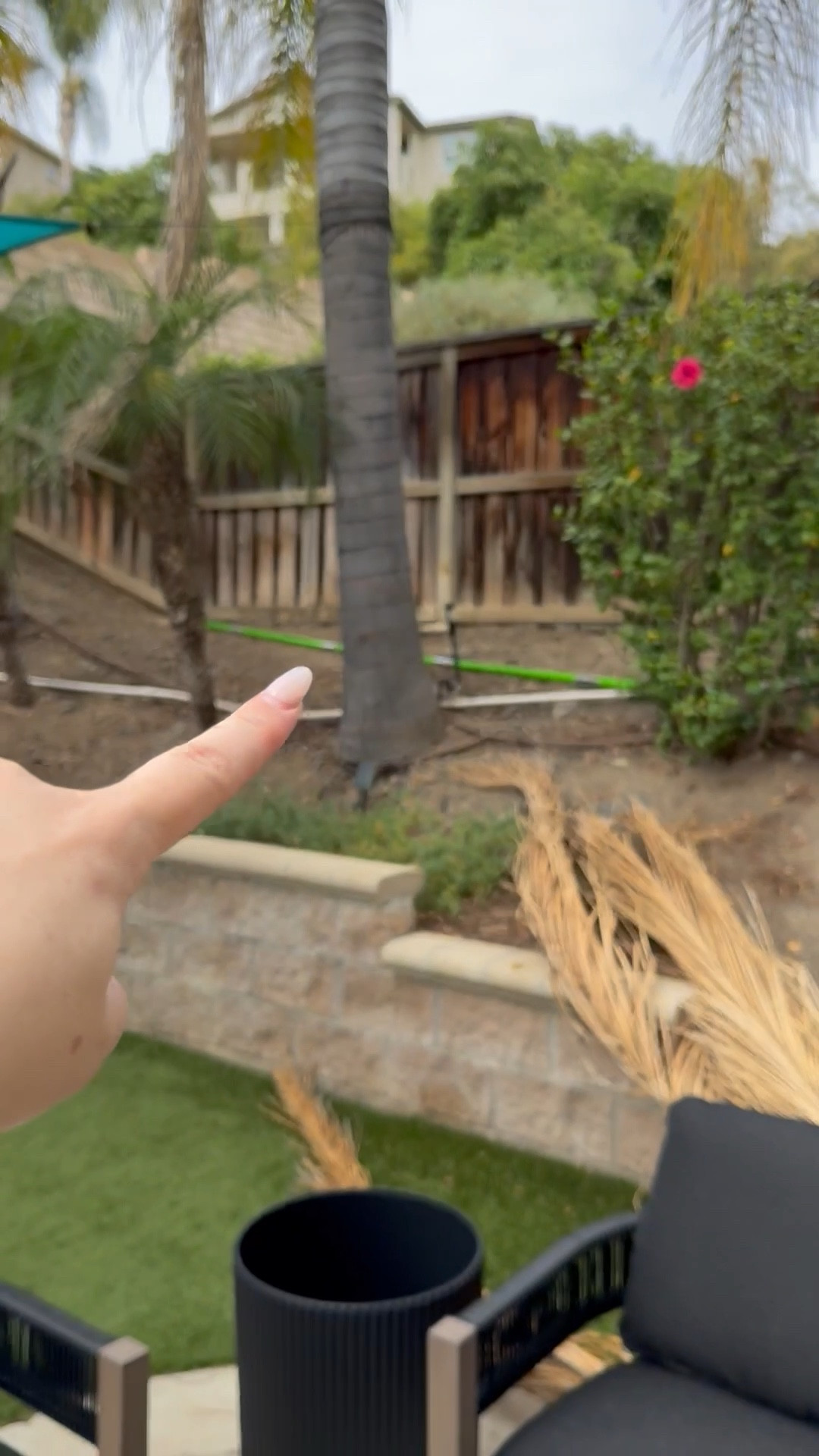 It’s so easy to trim your own palm trees! 🌴 This extendable trimmer paid for itself after the first use since we no longer need to hire that out! #amazonfinds #amazonhome 

#LTKHome #LTKSummerEdit #LTKSeasonal