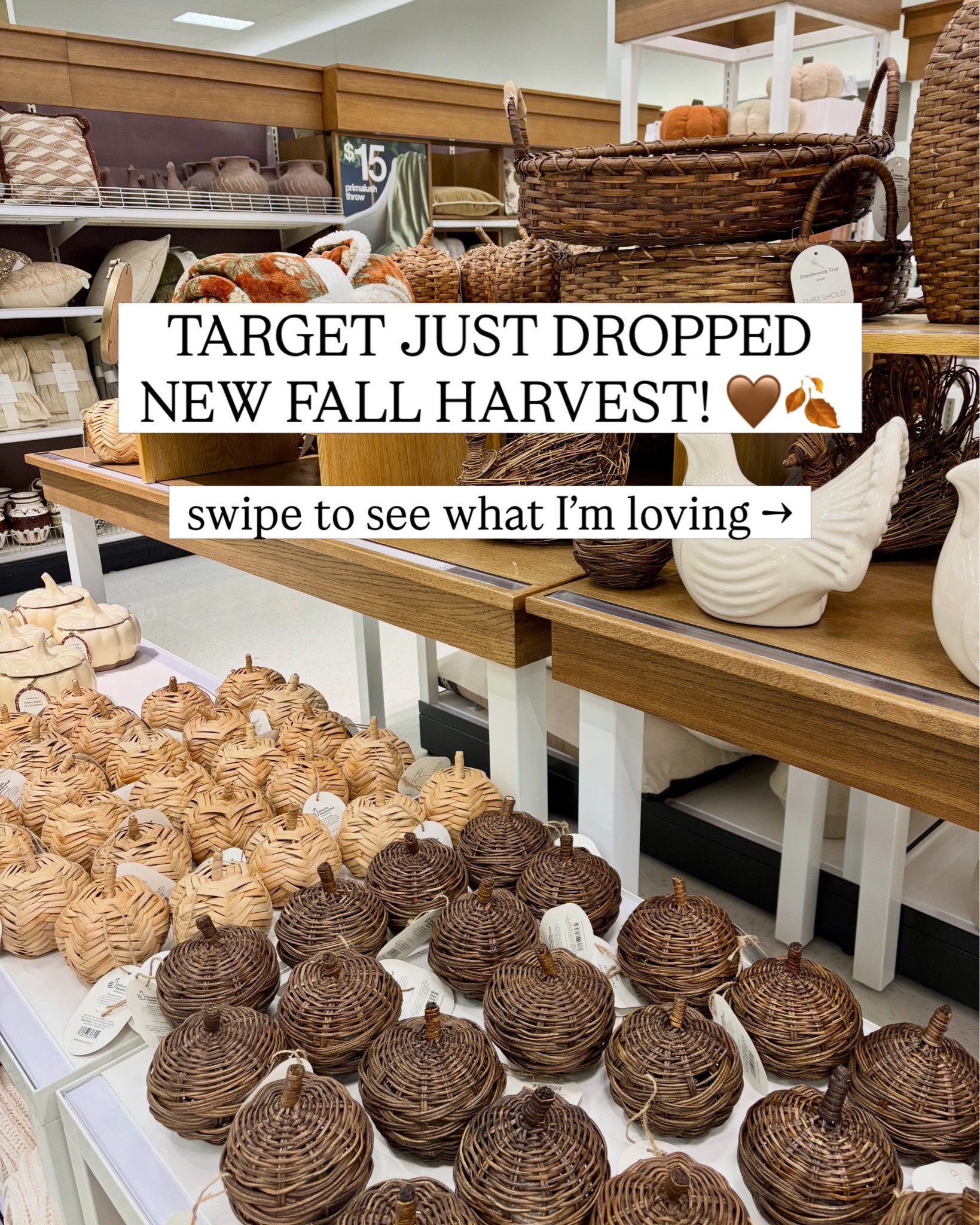 Target’s new fall collection is here 🤎🍂 

From pumpkins and seasonal accents to the prettiest pieces for adding a touch of fall around your home, I’m loving all these new finds!

#LTKHome #LTKSeasonal