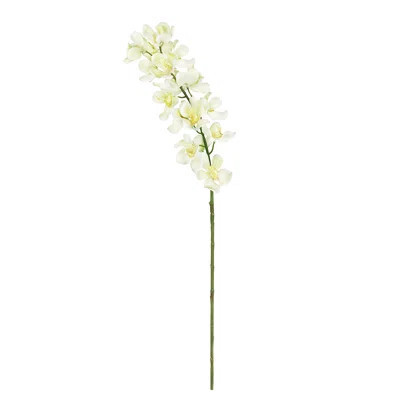 Orchid Stems | Wayfair North America
