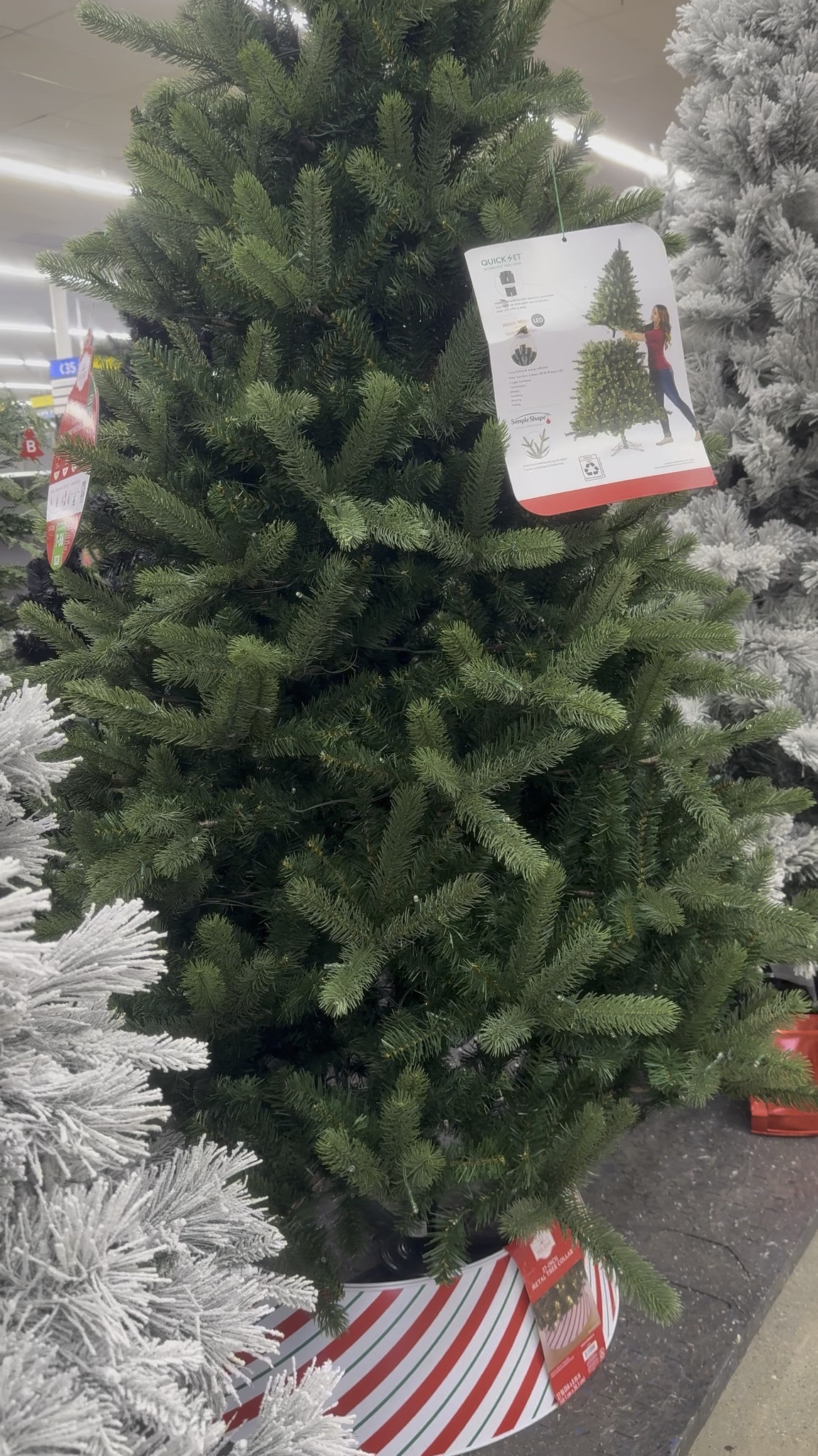 WALMART CHRISTMAS TREES ARE HEREEEEE! 🎄🎅🏽❤️

BABY, THEY REALLY SAID CHRISTMAS STARTS NOW! 😂😍 The Christmas trees are OUT and there are SO many cute ones! I’m already ready to decorate and I want EVERY SINGLE ONE! 🎄✨

🛍️ I LINKED ALL MY FAVORITE WALMART CHRISTMAS TREES ON MY LTK! GO SHOP MY PICKS!

#WalmartFinds #ChristmasTrees #ChristmasDecor #LTKFinds