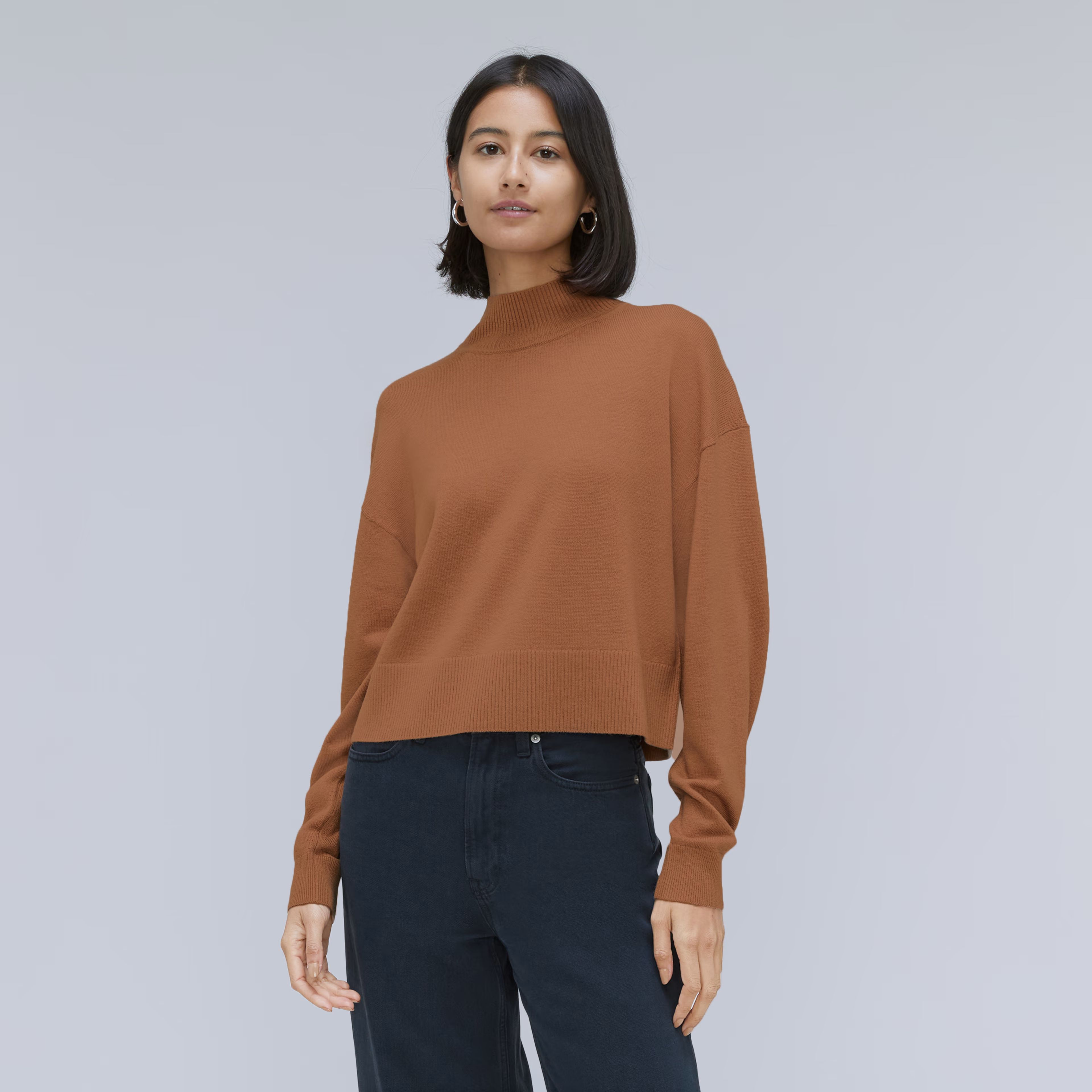 The Luxe Merino Turtleneck | Everlane