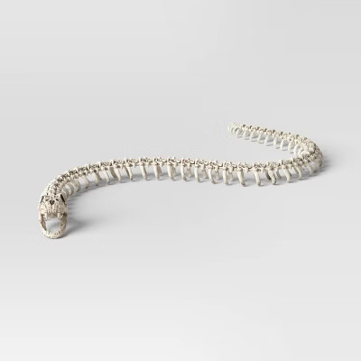 44" Snake Skeleton Halloween Decorative Prop - Hyde and EEK! Boutique™: Indoor/Outdoor Use | Target