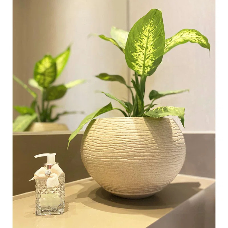 Florence Polyethylene Resin Pot Planter | Wayfair Professional