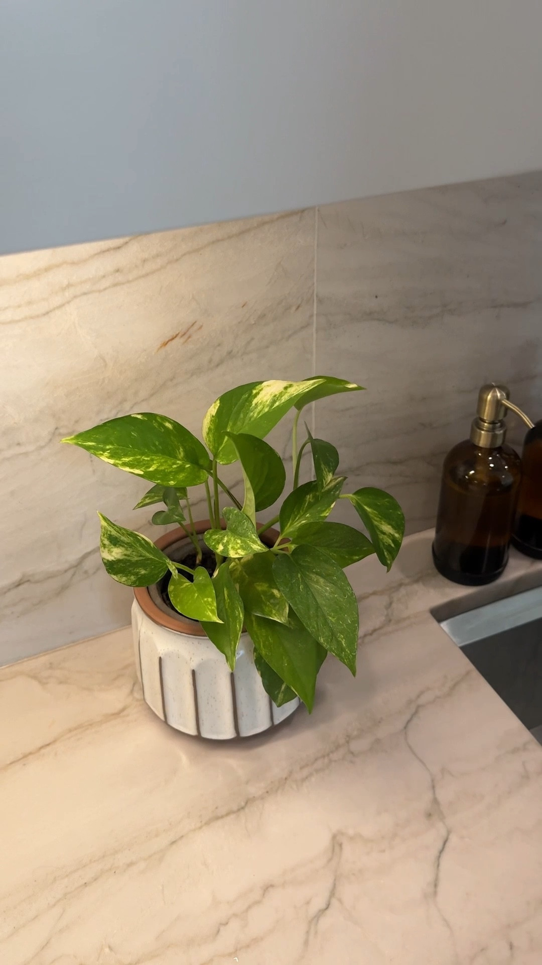 Easy kitchen finds to make it feel more earthy!

#LTKFindsUnder50 #LTKHome #LTKSaleAlert