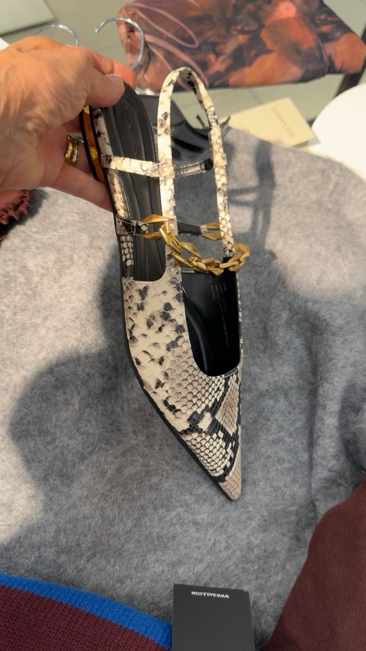 How cute are these pointy toe flats with the nicest gold chain detail 😍
Available in red and black too 

#LTKFindsUnder100 #LTKShoeCrush #LTKVideo