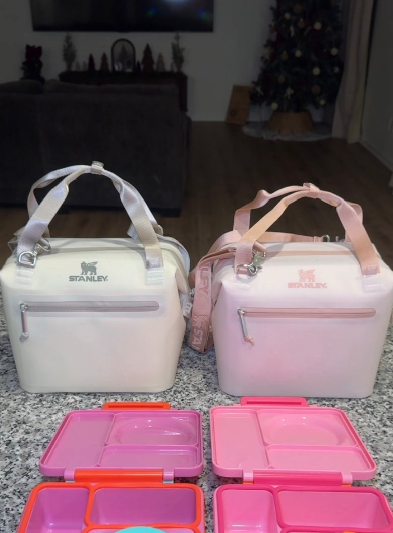 Stanley lunch bag on Sale!