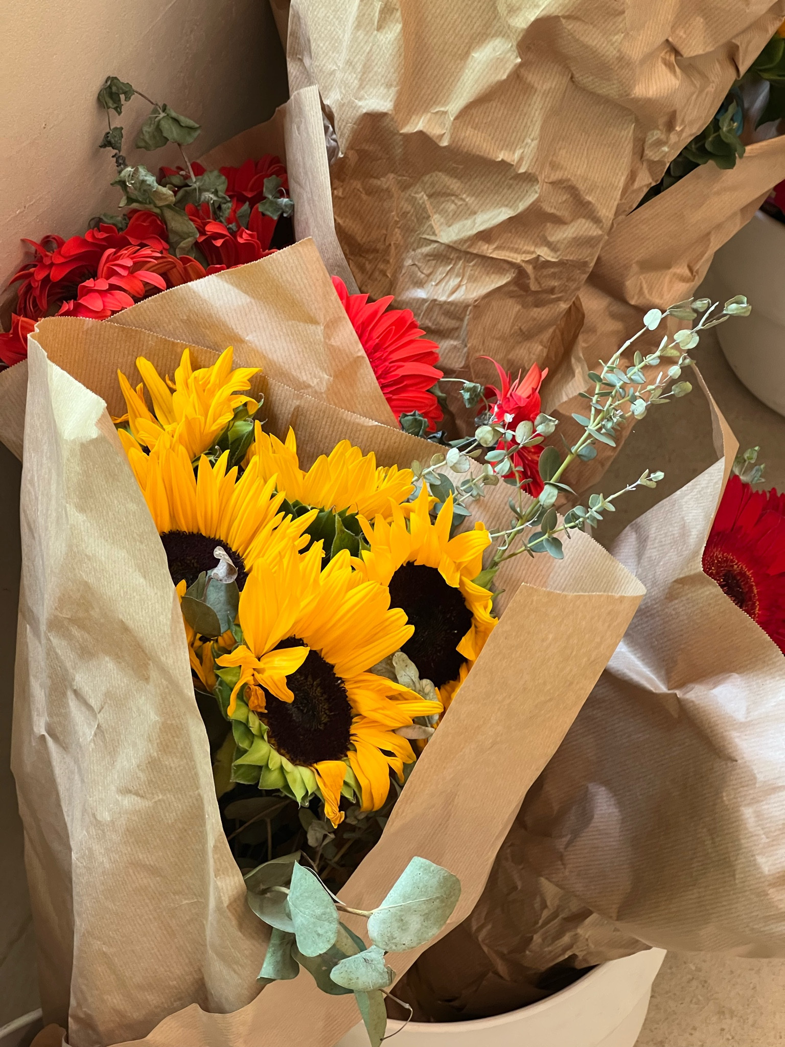 בייסיק וכו 

#LTKaustralia #LTKAsia #LTKSeasonal