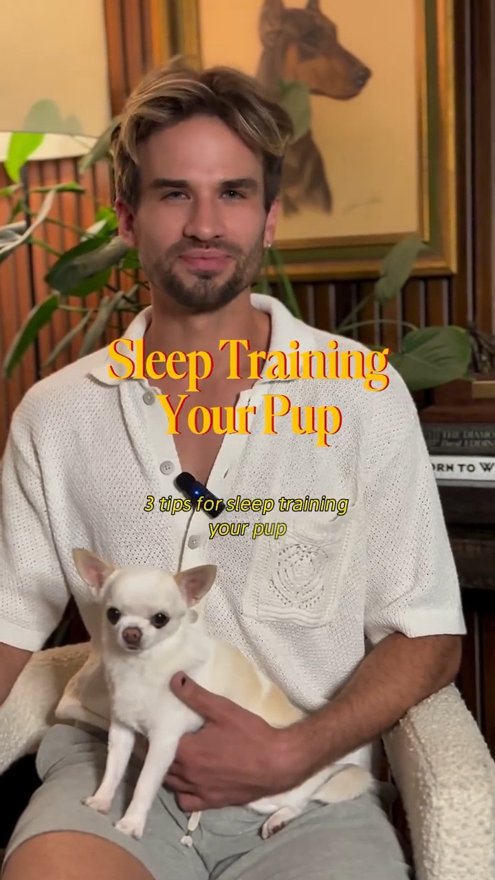 Sleep training for your pup! 💤

🐶 @thepupcowboy 
🎥 @scrambled_gr3ggs 

#dogtrainer #newpuppy #trainingtips