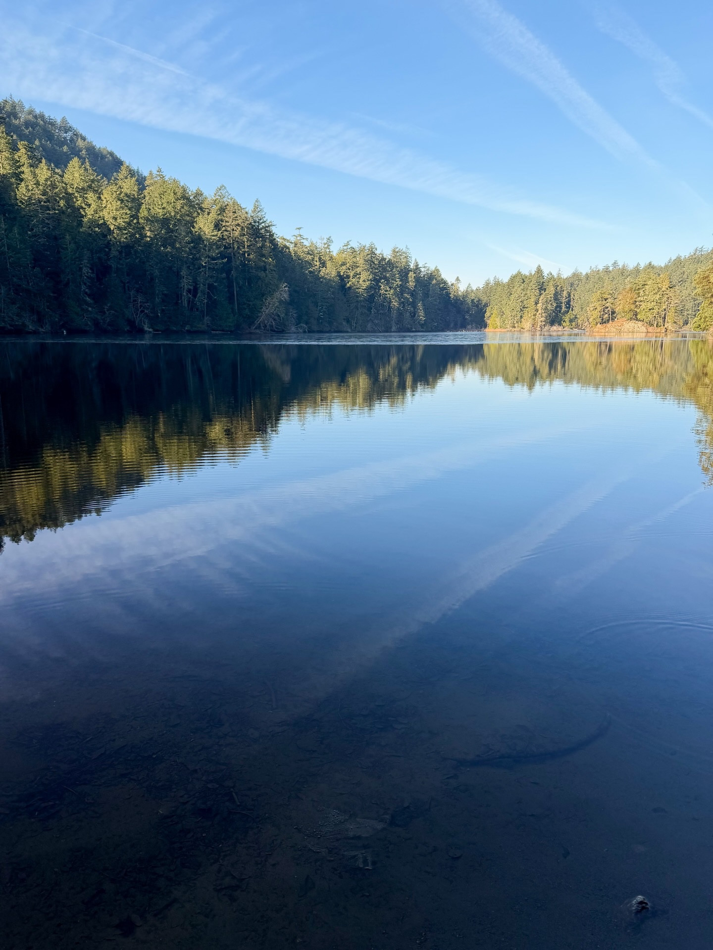 Where the water holds the sky, I’m reminded that love is the truest reflection.
When we slow down enough to meet our bodies, sync our breath with the rhythm of the world, and open our hearts to those we care for — clarity and stillness emerge.
Like this lake, we hold both depth and light within us. What we give - presence, laughter, gentle touch, meaningful connection - comes back to us, echoing in ways we often don’t expect but deeply feel.
Today, may we choose to live from love. Let our hearts reflect kindness and peace into the world, and let the love around us guide us back home to ourselves 🤍

#LTKfamily #LTKtravel #LTKfitness