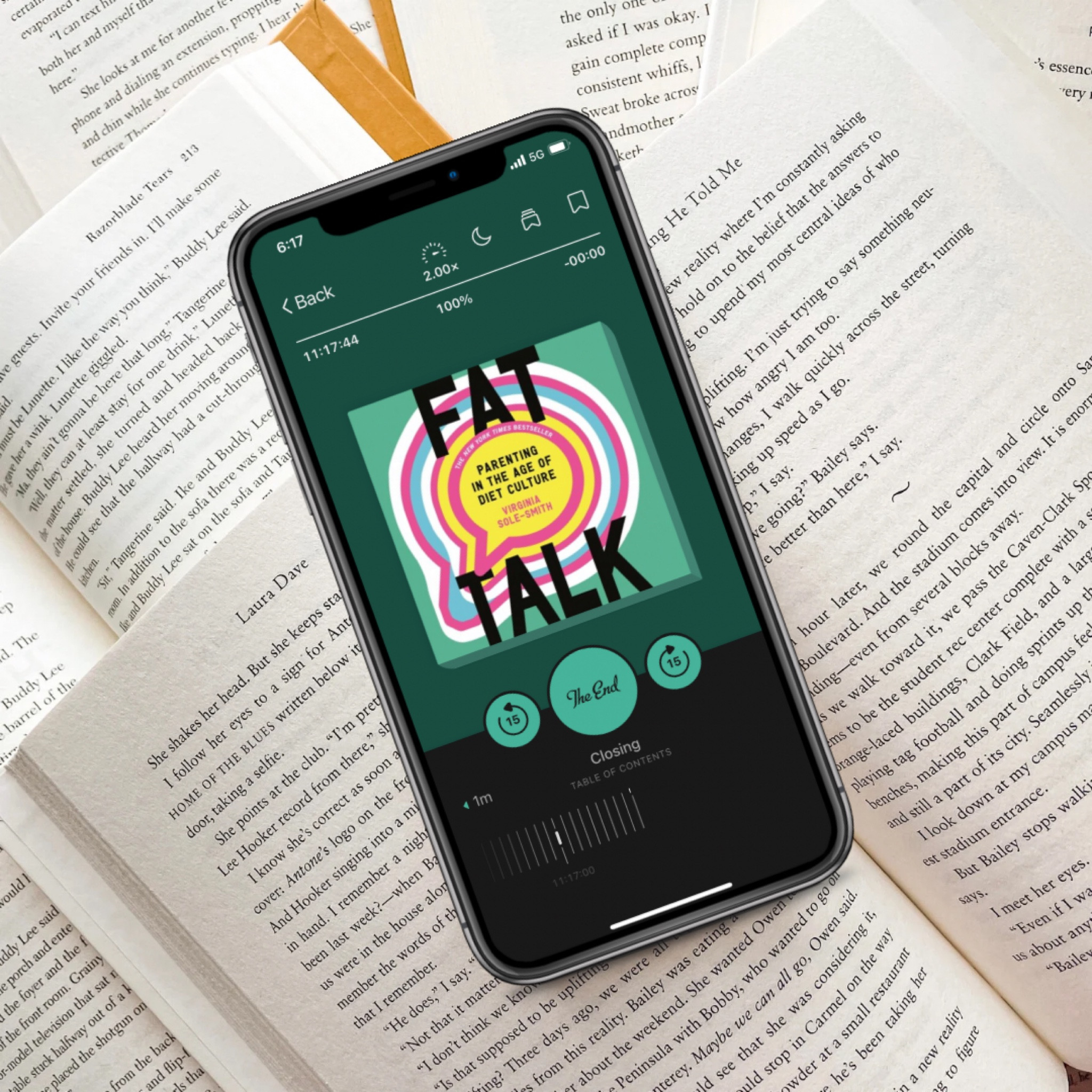 Book, audiobook, non-fiction, intuitive eating, parenting book

#LTKfindsunder50