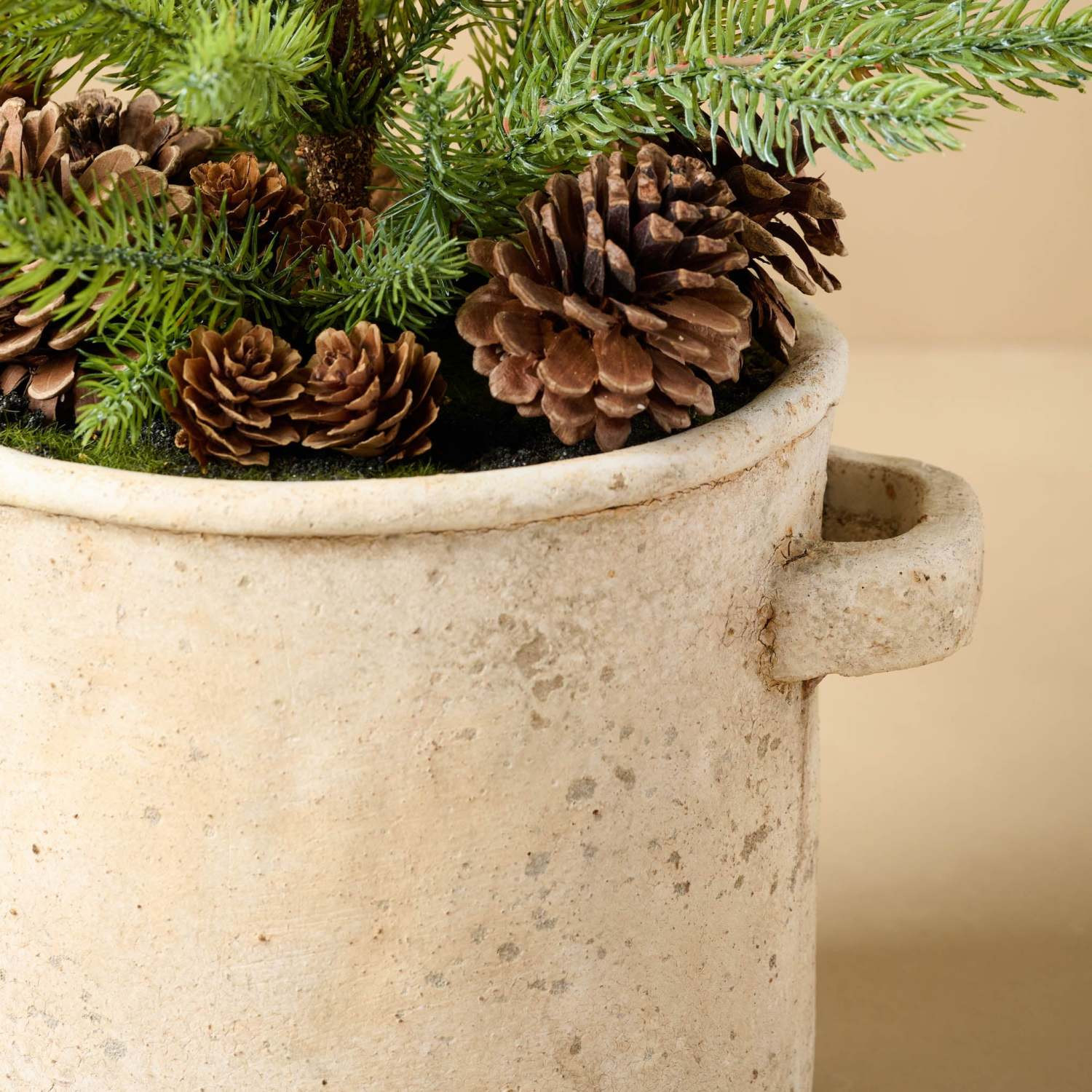 Potted Pine in Crock | Magnolia
