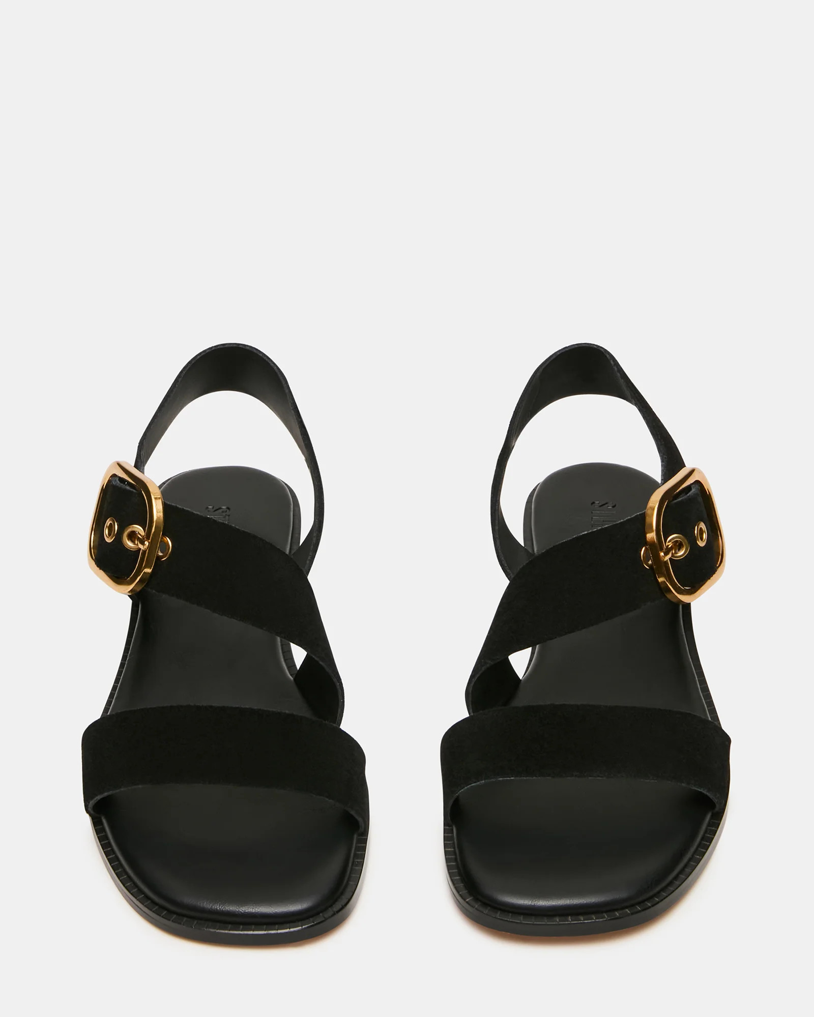 SAYER Black Suede Square-Toe Buckle Women's Sandal | Steve Madden (US)