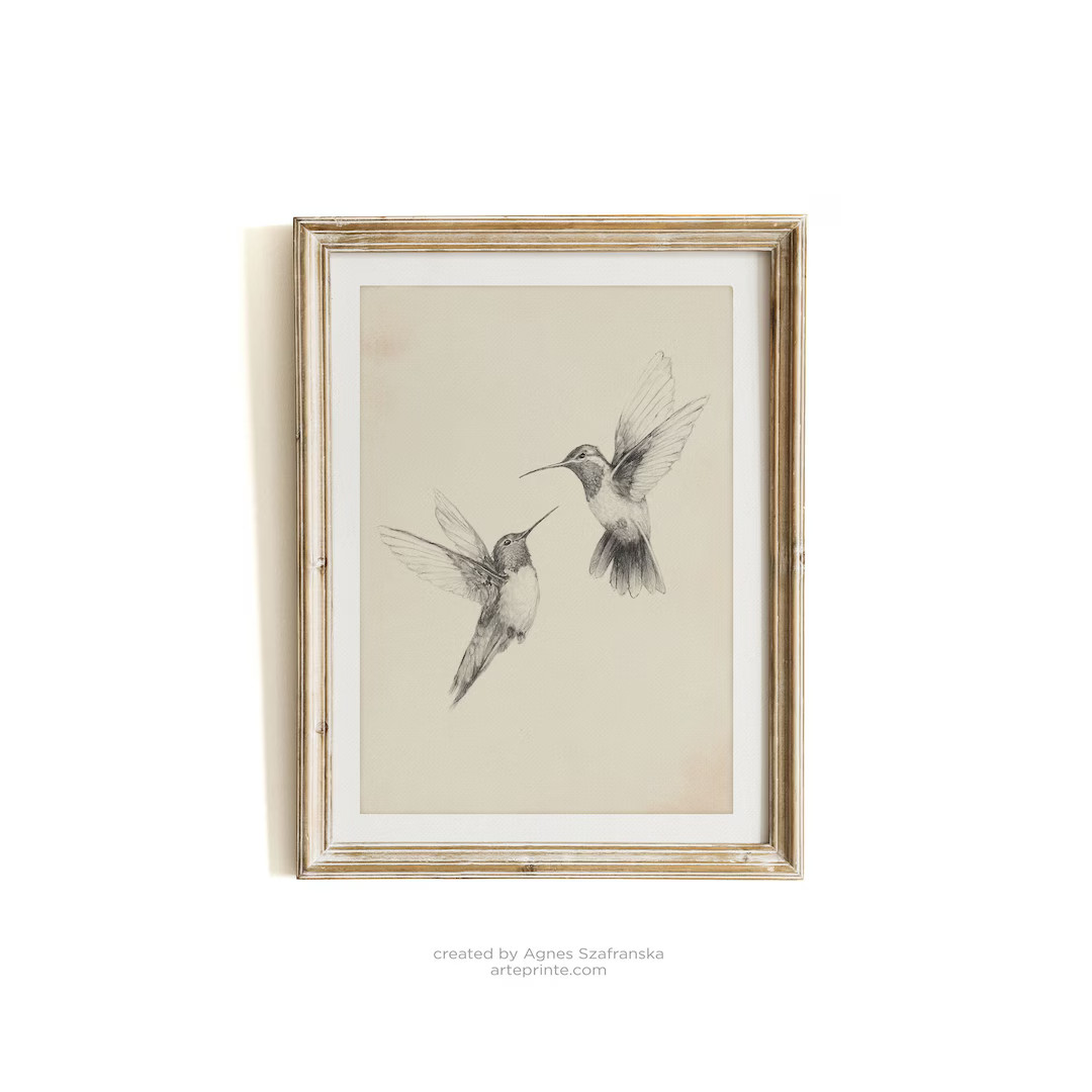 Hummingbirds Sketch, Birds Art Print, Pencil Drawing Vintage Style Creamy Gray Illustration of Pa... | Etsy (US)