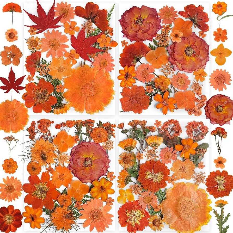 150PCS Orange Fall Dried Pressed Flowers with Butterfly Stickers - Youthbro Real Nature Flowers S... | Amazon (US)
