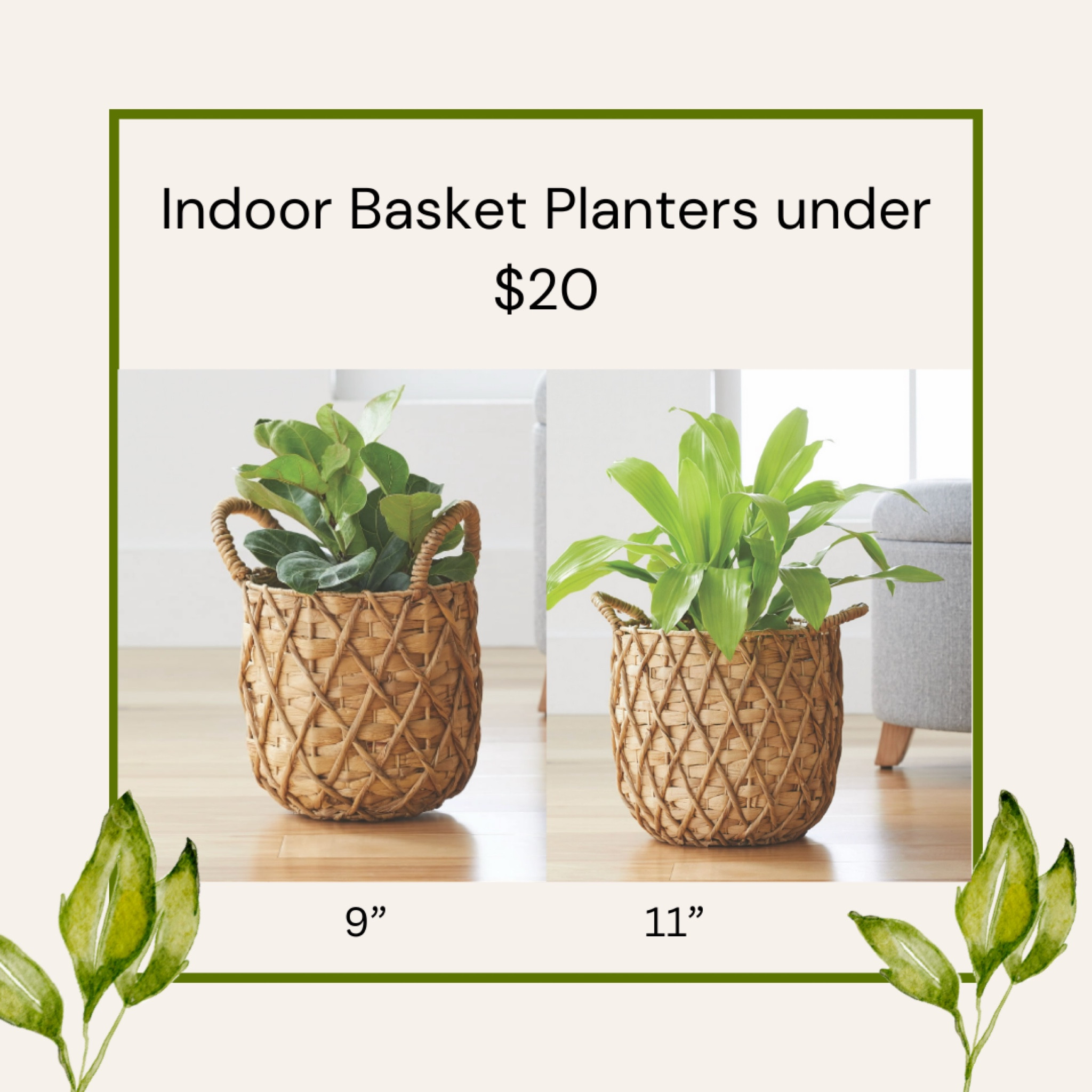 Love these planters 🌿 | basket | planter | for the home | basket planter | indoor planter | indoor plants | 

#LTKFind #LTKhome #LTKunder50