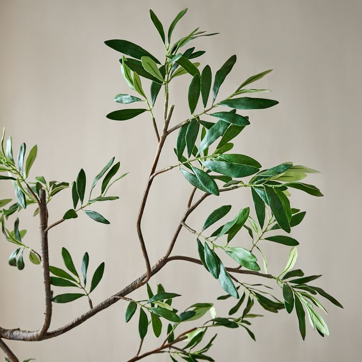 Faux Black Olive Branch | West Elm (US)