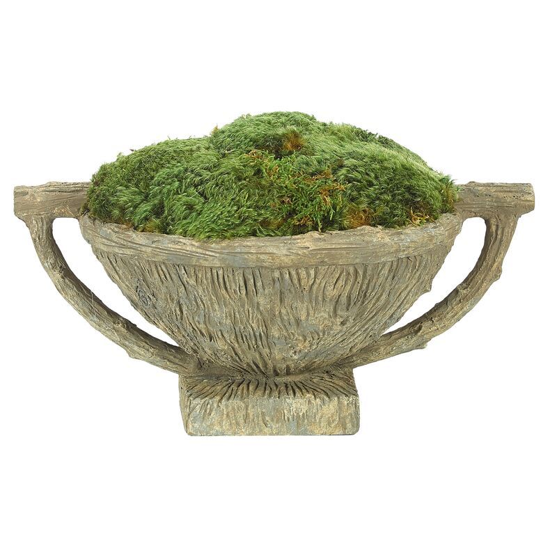 16" Moss Mound in Faux Bois Bowl, Preserved | One Kings Lane