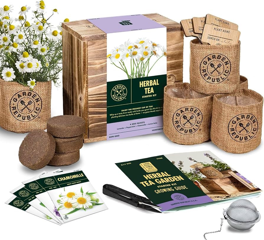 Indoor Herb Garden Seed Starter Kit - Herbal Tea Growing Kits, Grow Medicinal Herbs Indoors, Lave... | Amazon (US)