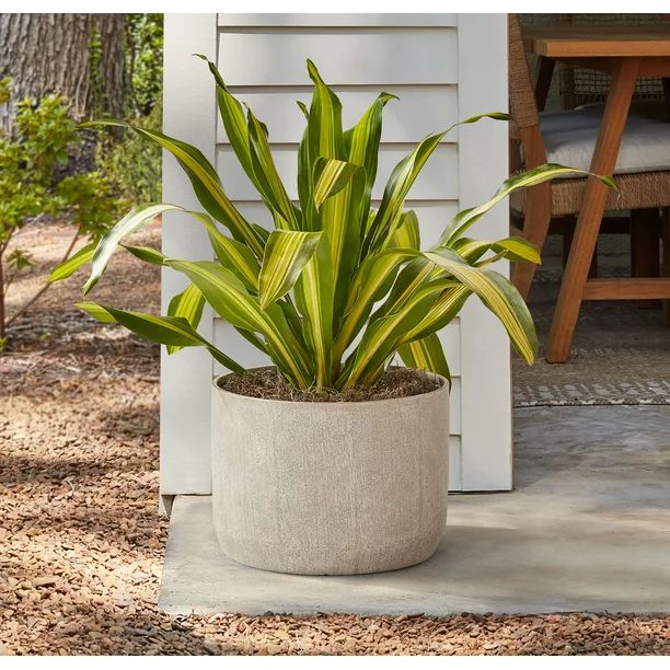 Dave & Jenny Marrs for Better Homes & Gardens Rogers Off-White Resin Planter, 16in x 16in x 11.5i... | Walmart (US)