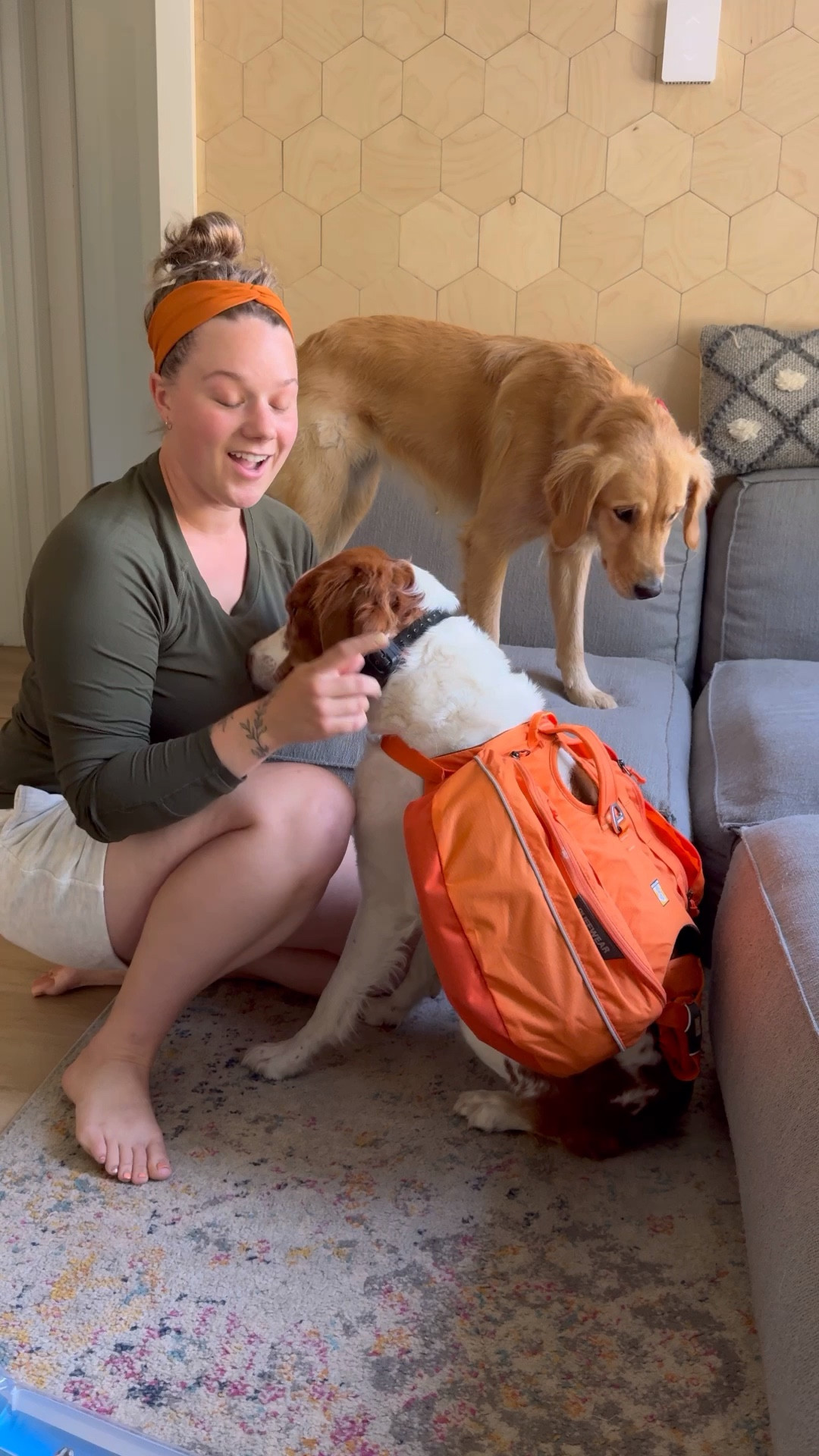 Ruff wear, backpack, hiking pack,dog backpack, Advetures dog , Ruffwear backpack 