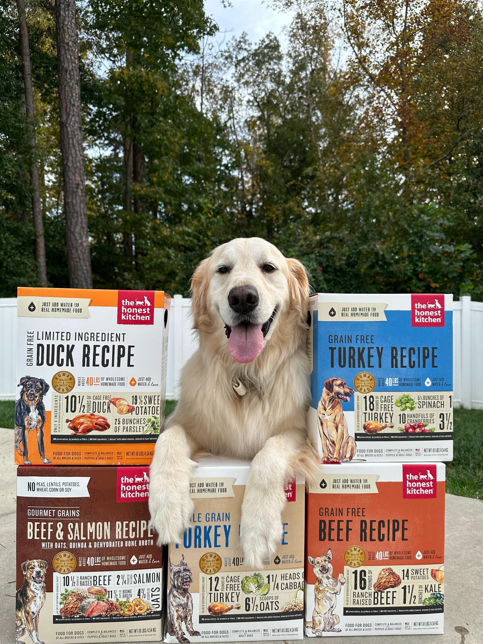 Want to be confident in the food you feed your pups? Honest Kitchen is 100% human grade food and is the only brand we know and trust! #LTKPets #LTKdog 

#LTKhome