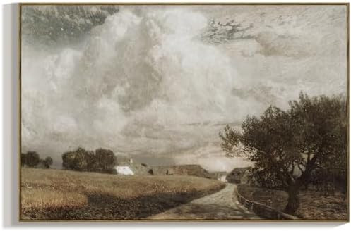 RaphelArt Large Framed Canvas Wall Art Home Decor,The Country's Cloud Vintage Decor,Rustic Farmho... | Amazon (US)
