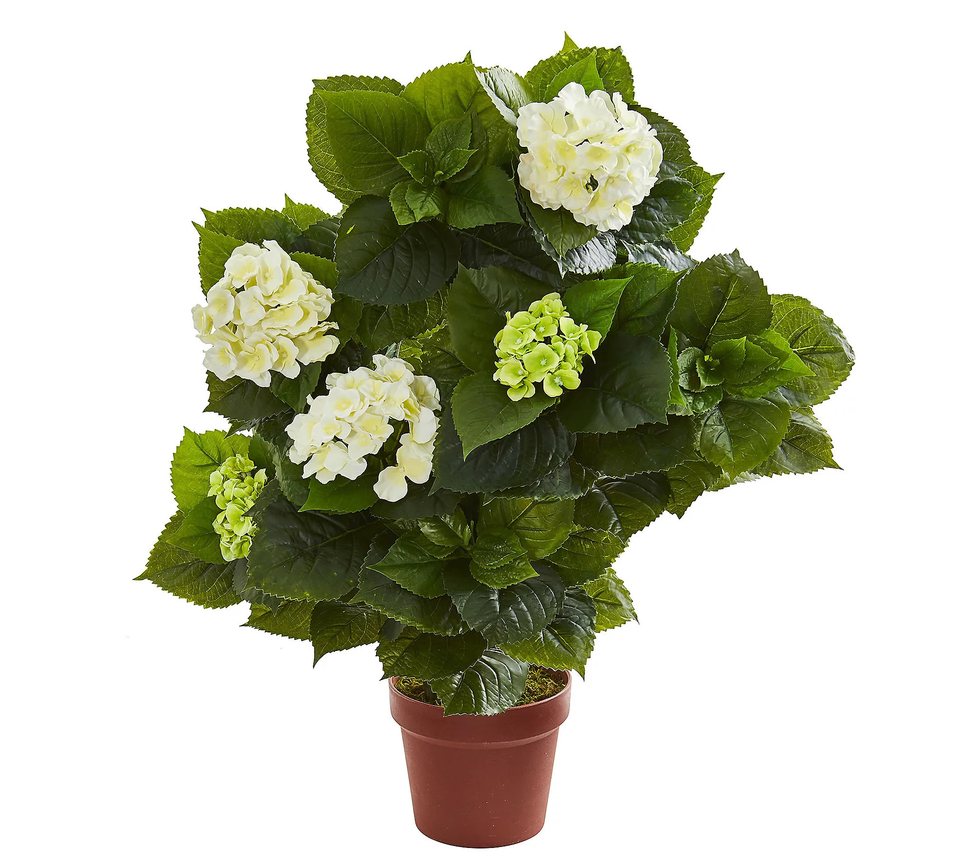 29"" Hydrangea Artificial Plant by Nearly Natura l | QVC